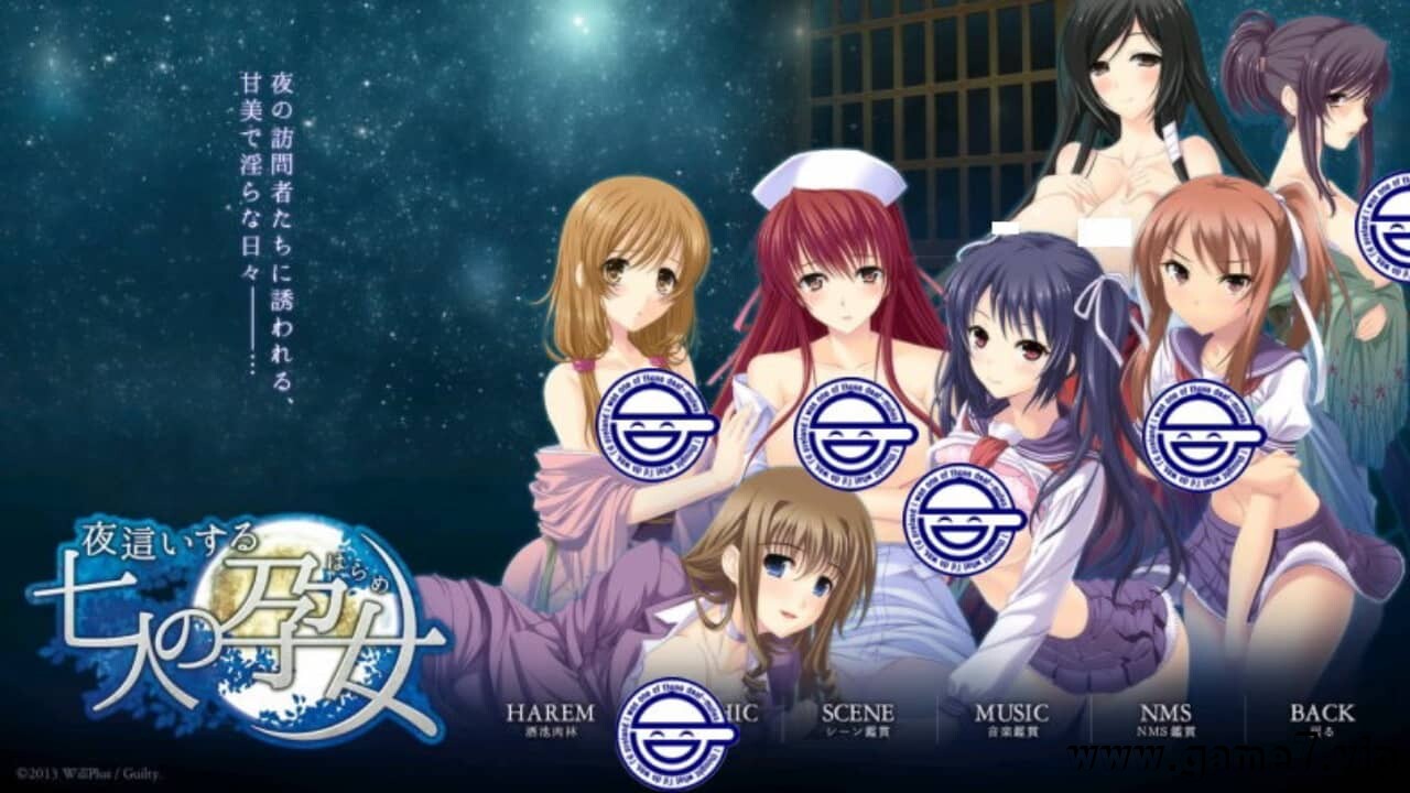 夜袭七人孕女丨夜這いする七人の女