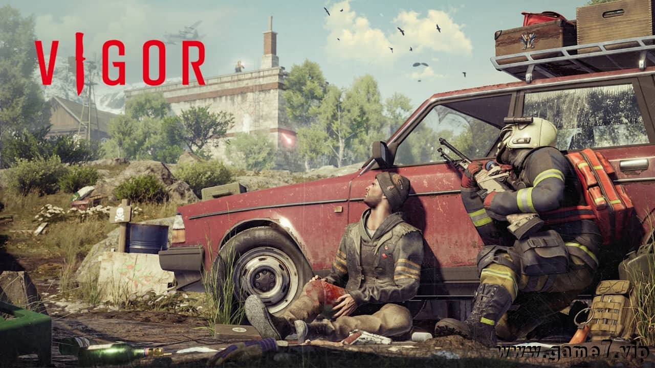 维戈尔丨Vigor