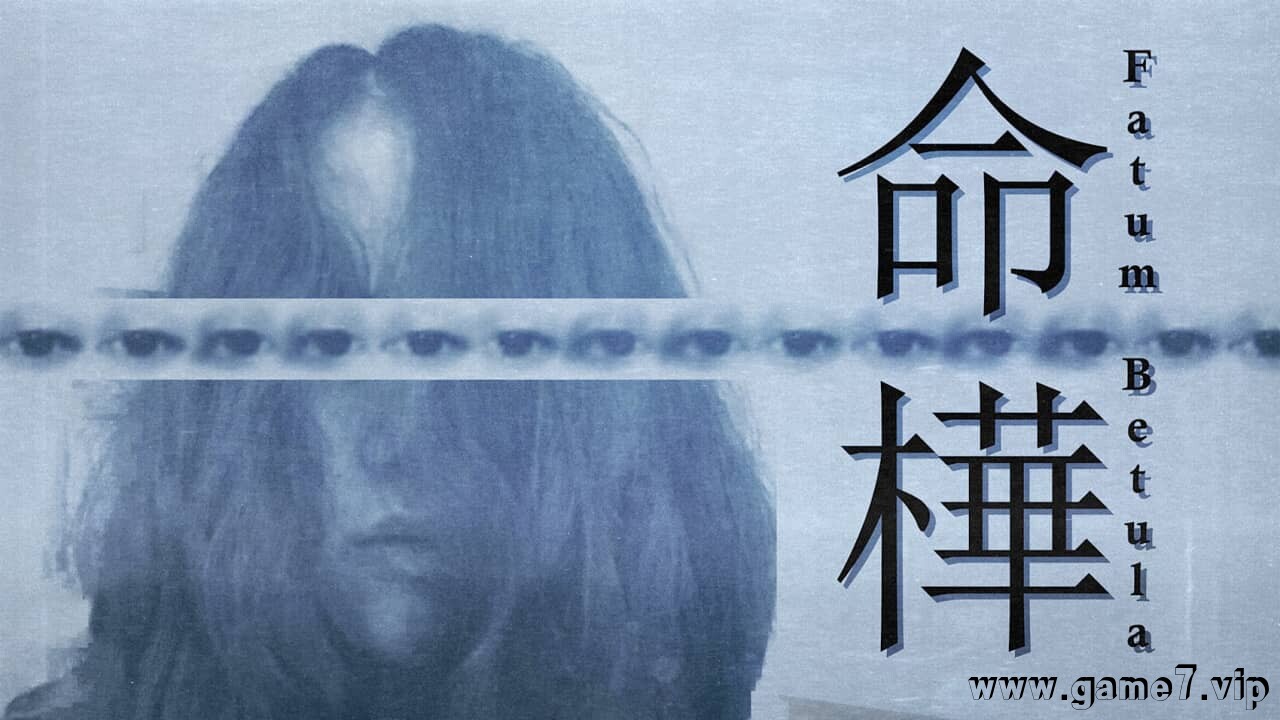 命桦丨Fatum Betula