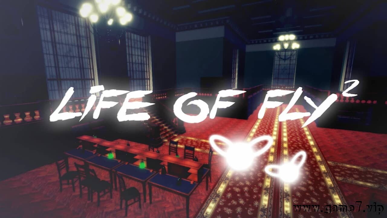 蝇的生活2丨Life of Fly 2