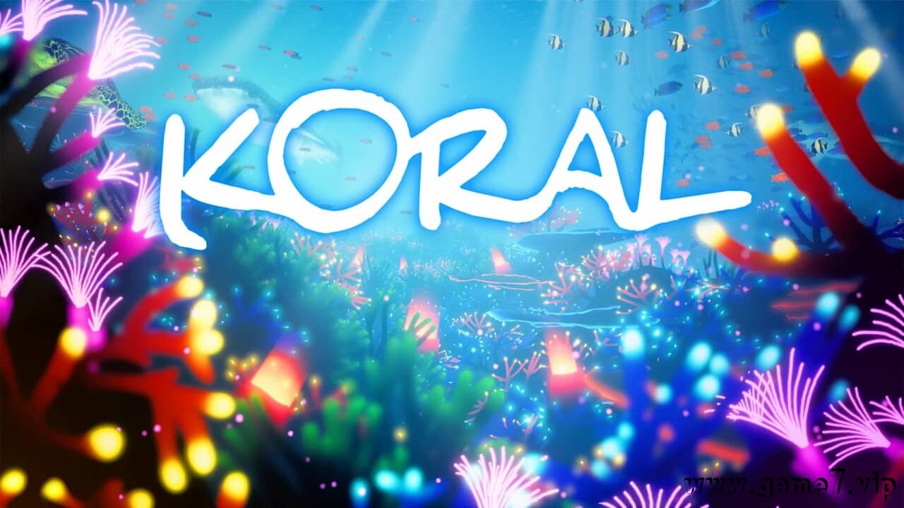 珊瑚丨KORAL