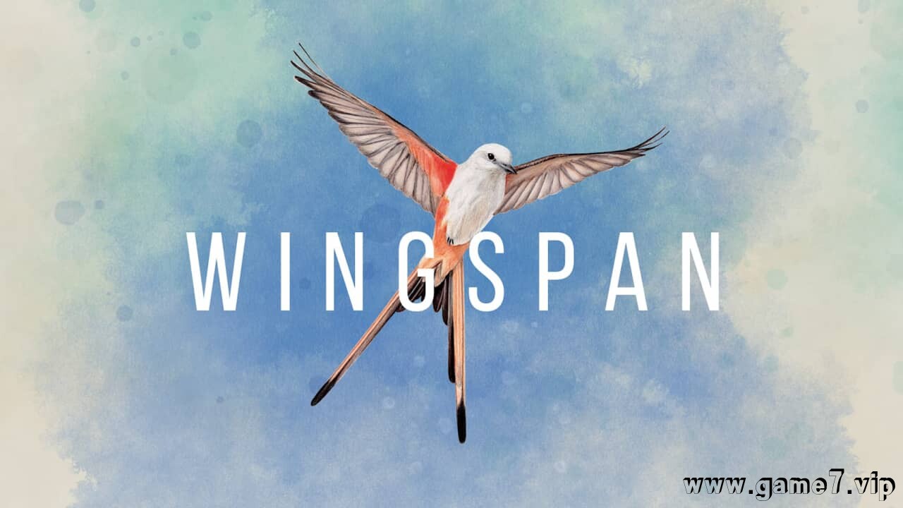 展翅翱翔丨Wingspan