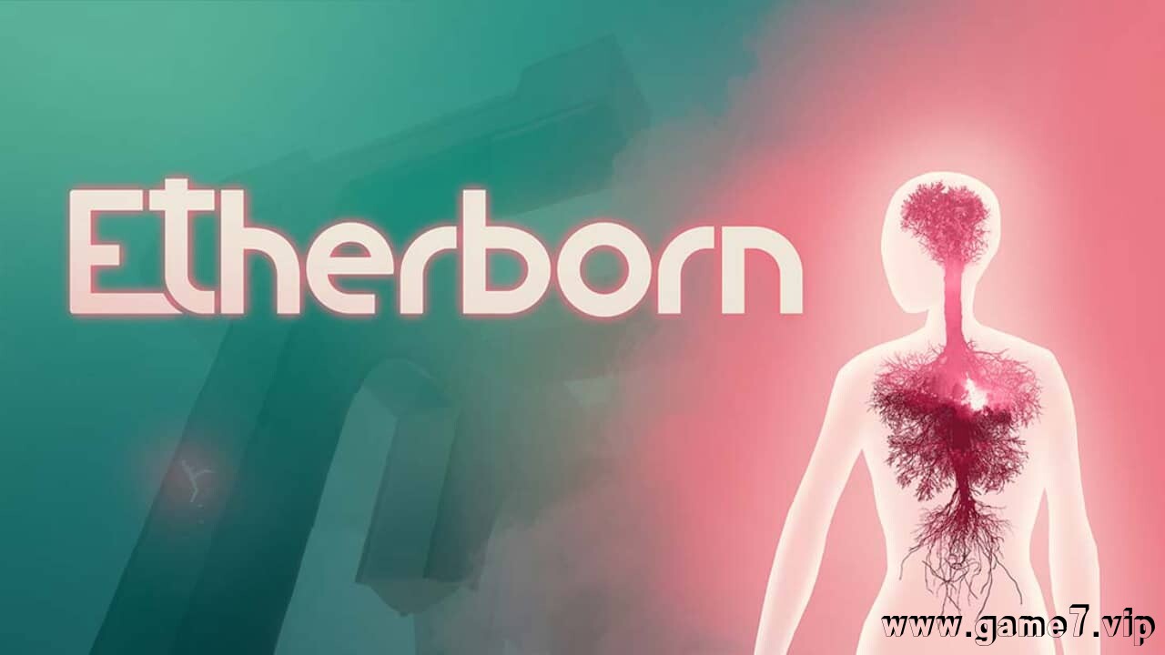 以太新生丨Etherborn