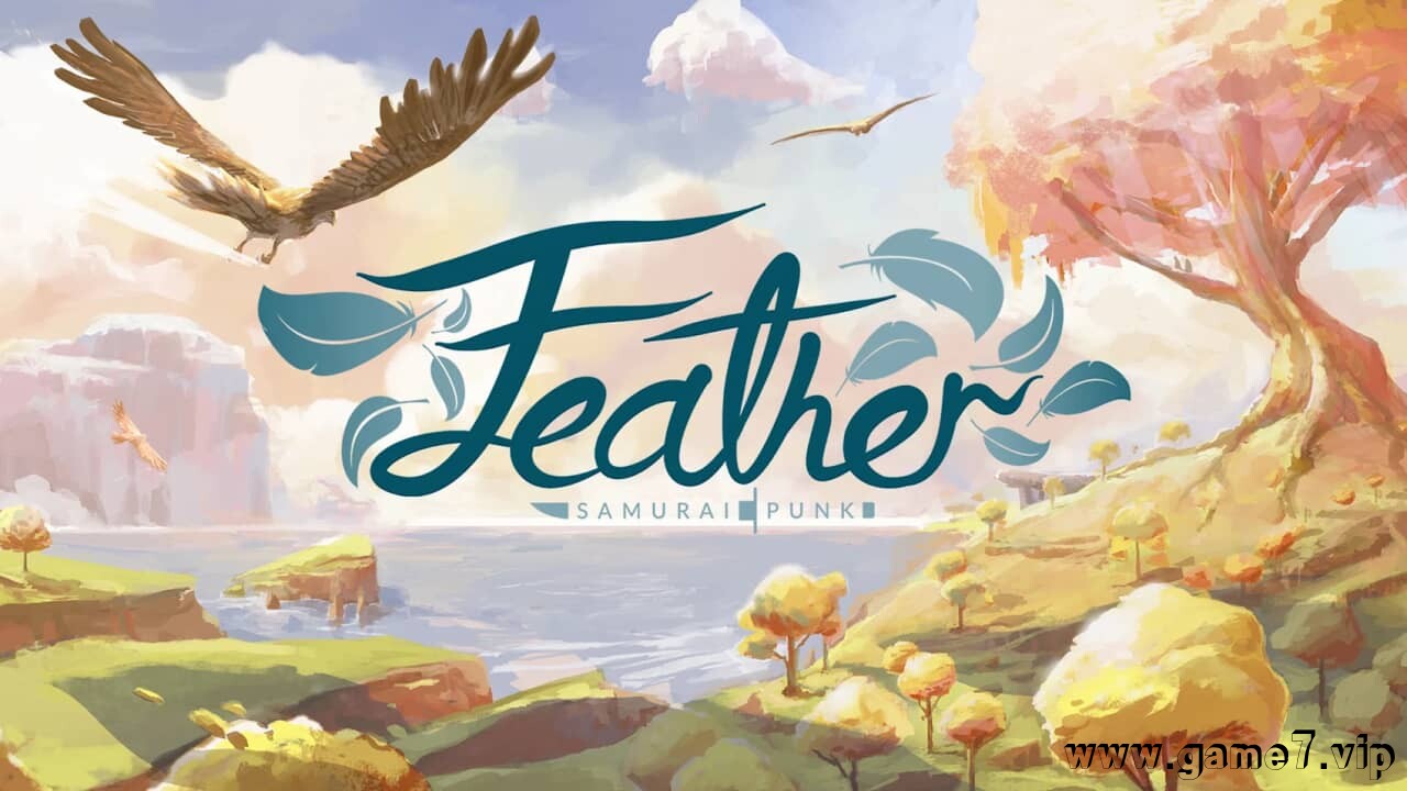 羽毛丨Feather