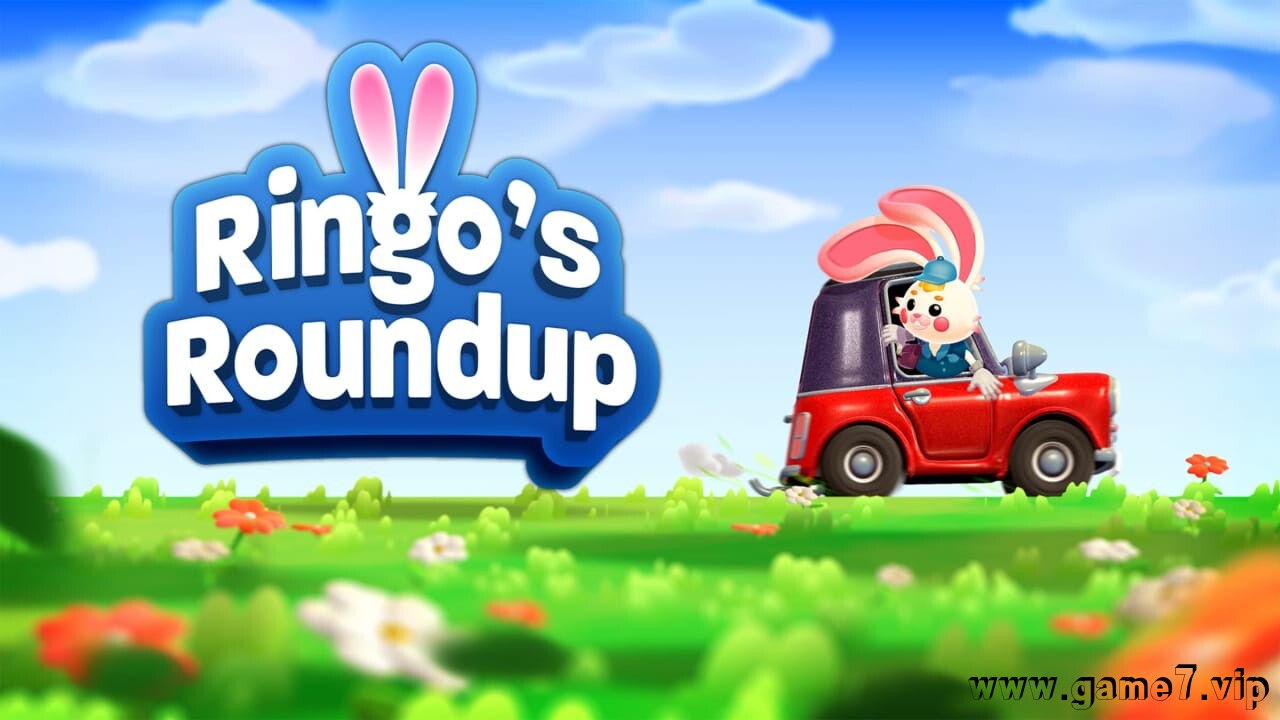 林戈的收集丨Ringo’s Roundup