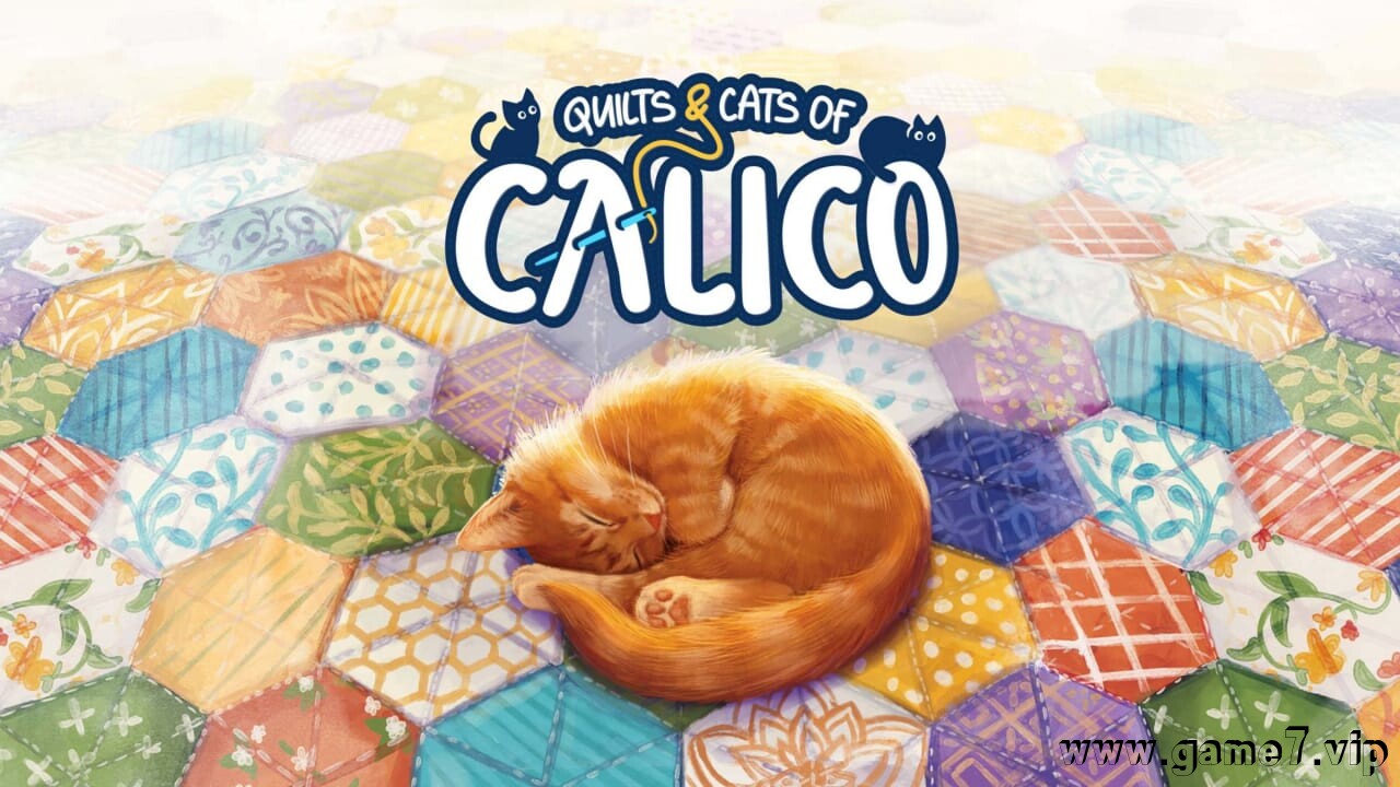 猫与花毯丨Quilts and Cats of Calico