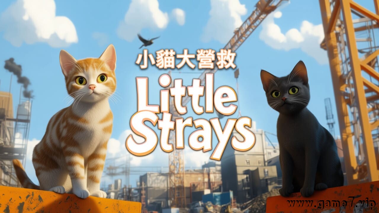 小猫大营救丨Little Strays