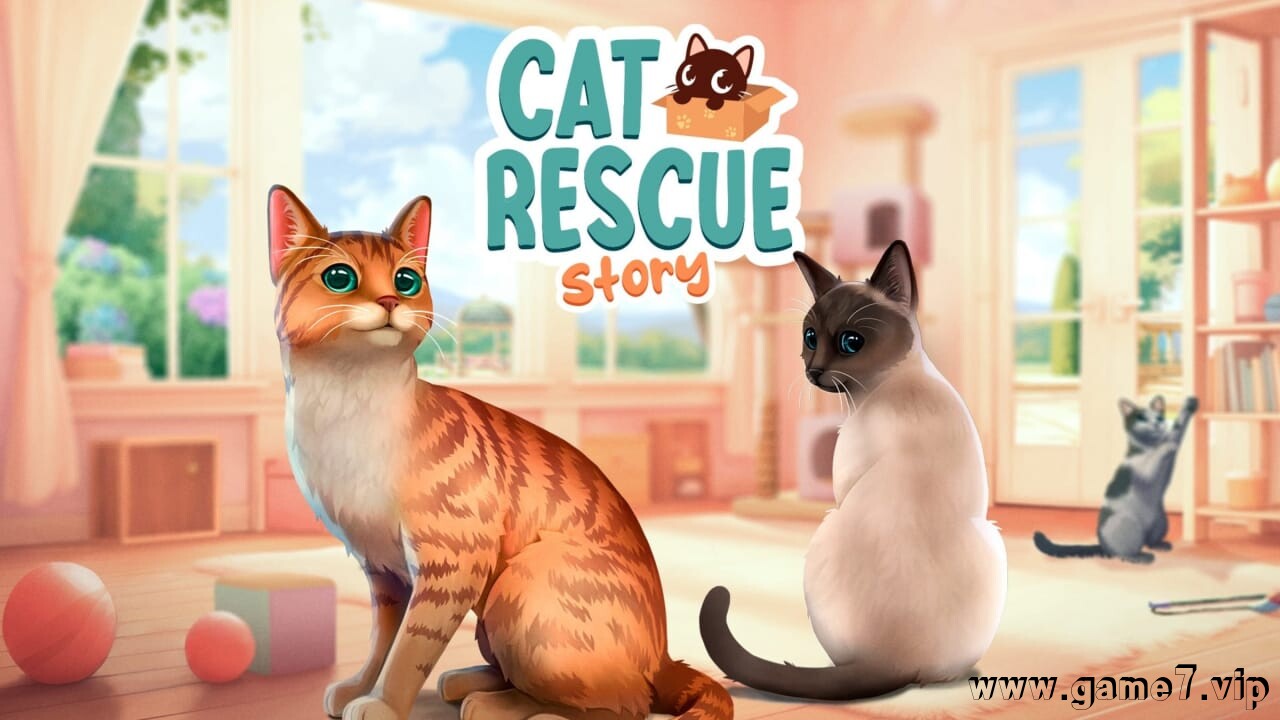 猫咪救援故事丨Cat Rescue Story