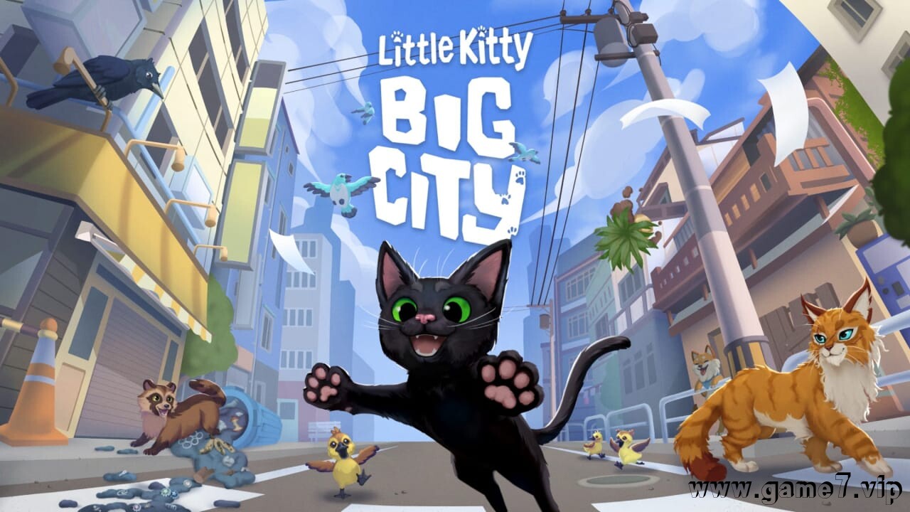 小猫咪大城市丨Little Kitty, Big City