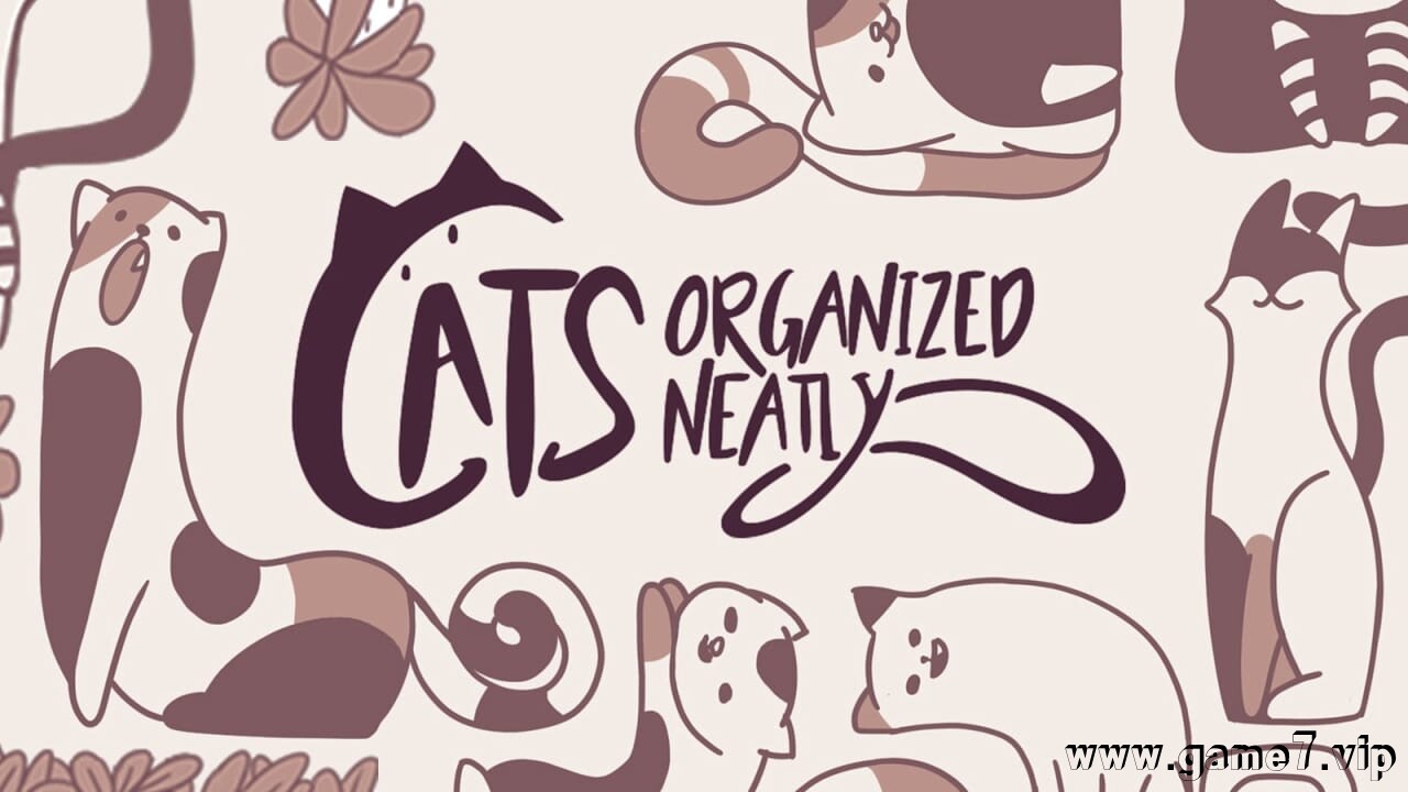 猫咪整齐划一丨Cats Organized Neatly