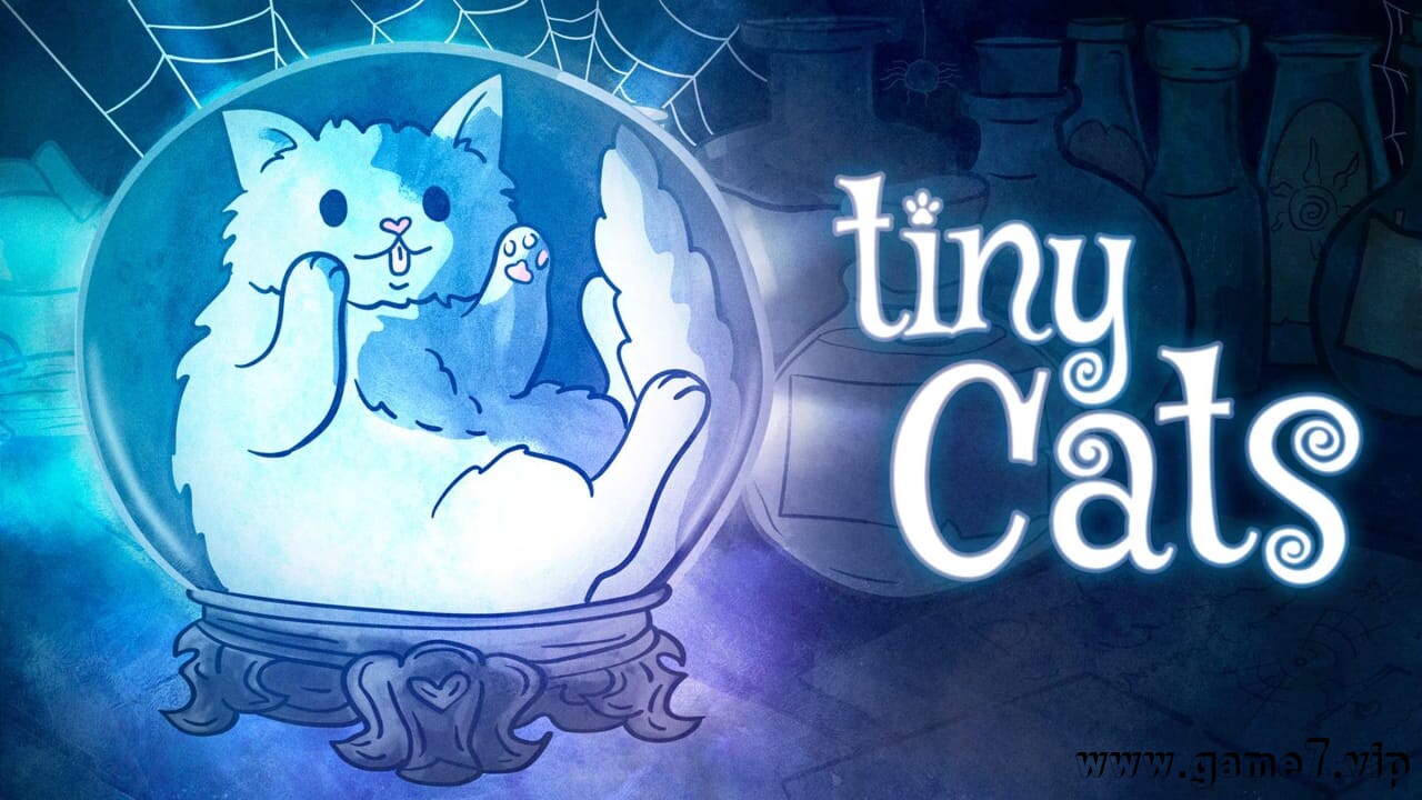 小猫丨tiny Cats