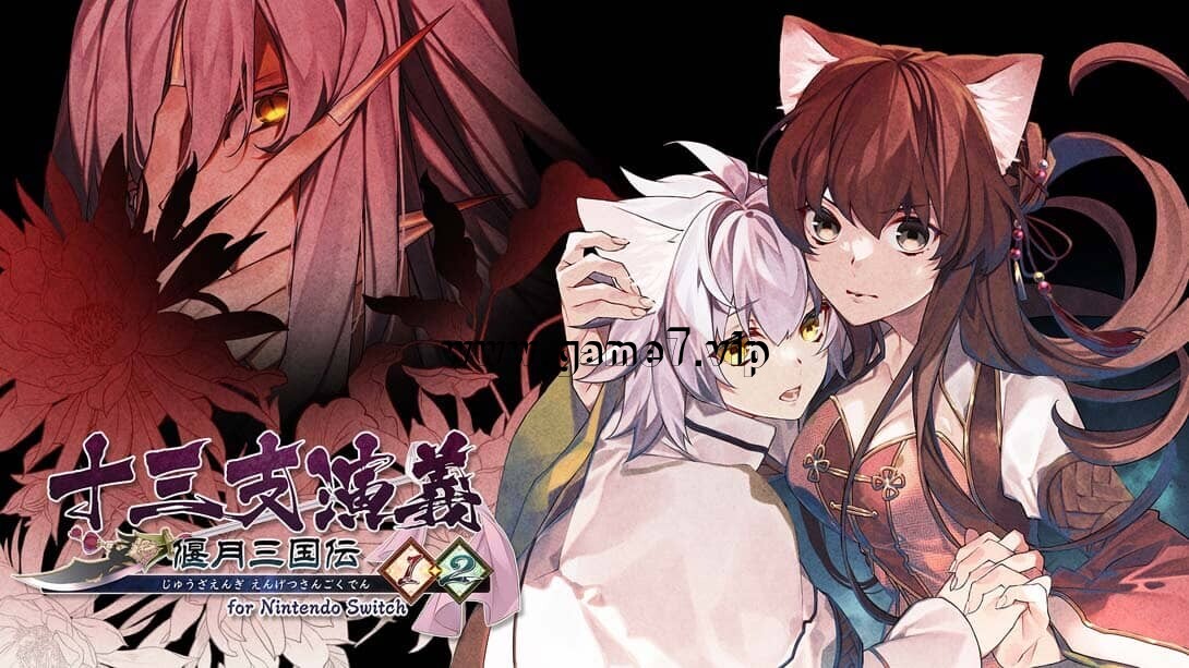 十三支演义 偃月三国传 1・2 for Nintendo插图