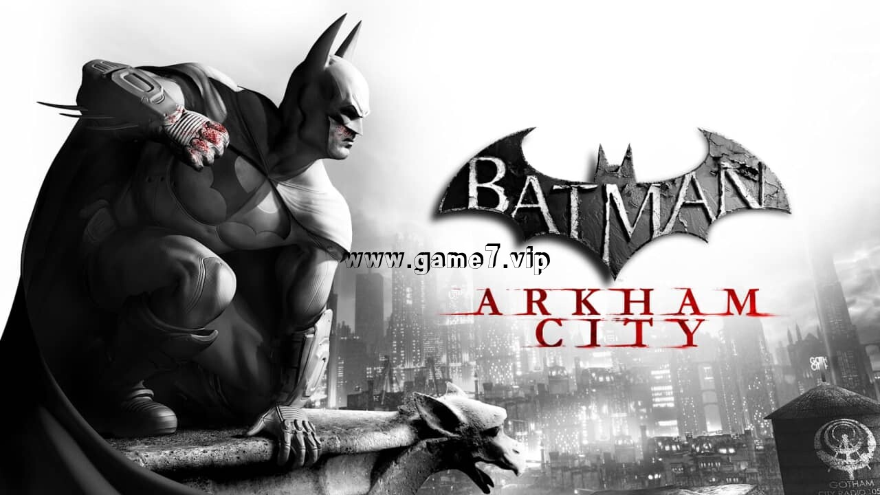 蝙蝠侠：阿卡姆之城丨Batman: Arkham City插图