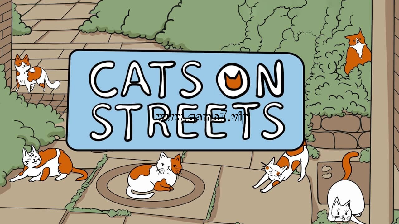 街上的猫丨Cats on Streets插图