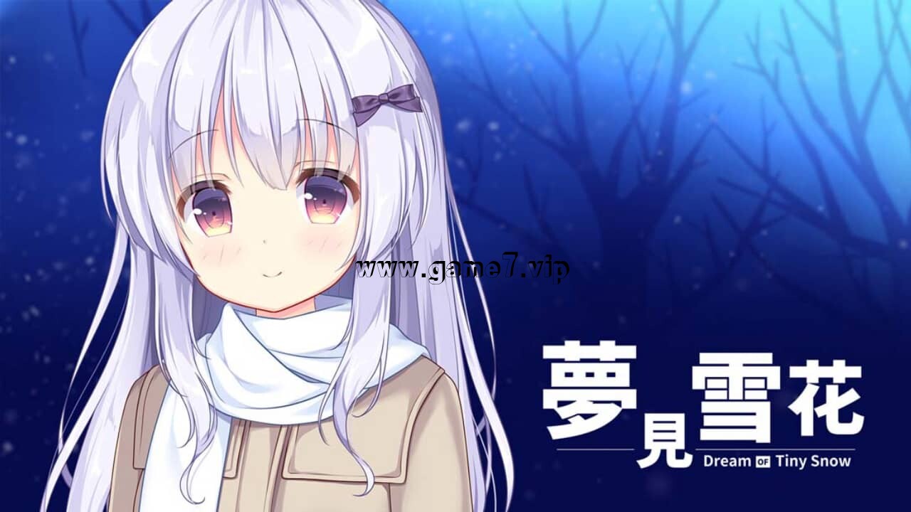 【Switch】梦见雪花丨Dream of Tiny Snow