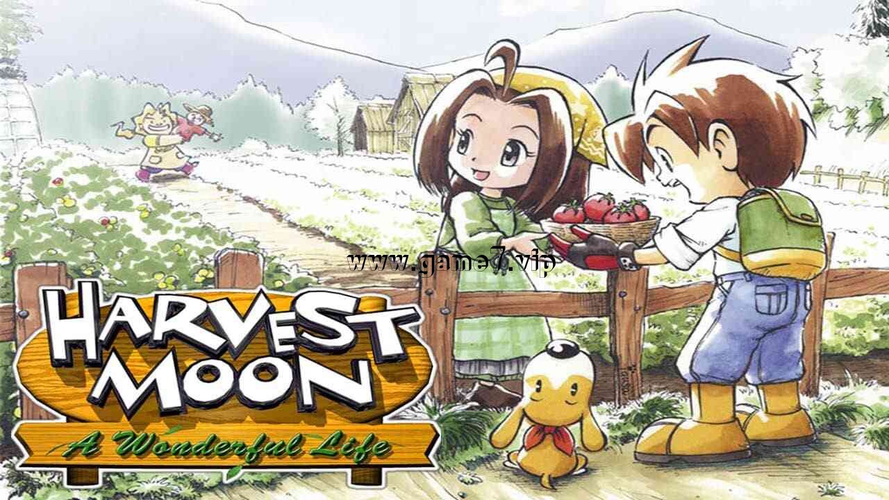 【Switch】牧场物语：美好人生丨Harvest Moon: A Wonderful Life