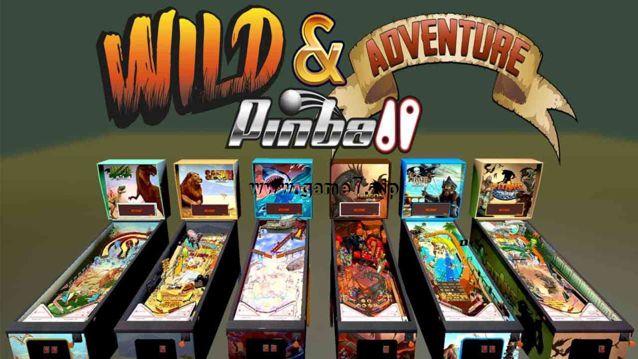 【Switch】野外 & 冒险家 弹子球丨Wild & Adventure Pinball