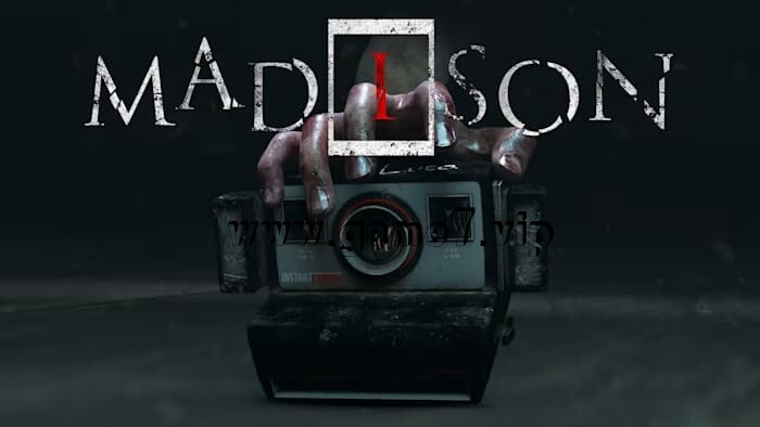 【Switch】麦迪逊丨MADiSON