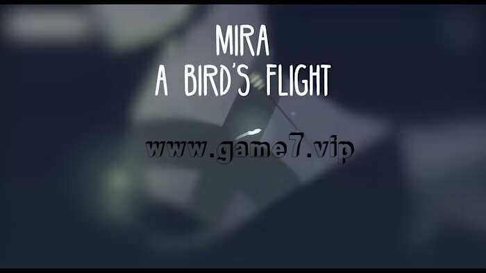 【Switch】米拉：鸟儿的飞行丨Mira A Birds Flight