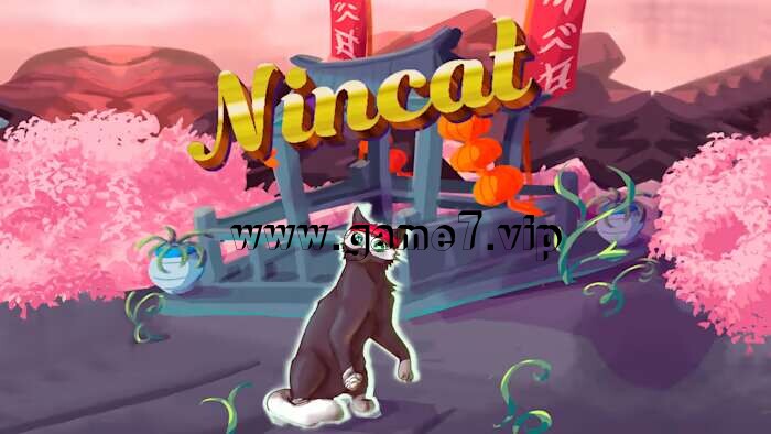 【Switch】忍者猫丨Nincat