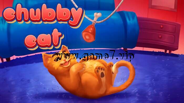 【Switch】胖乎乎的猫丨Chubby Cat