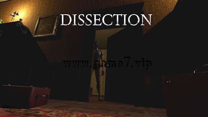 【Switch】解剖丨Dissection