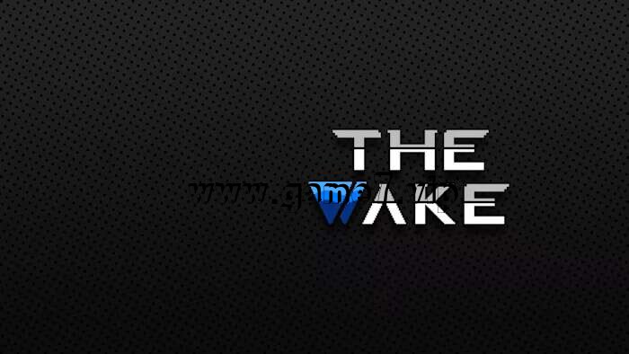 【Switch】唤醒 The Wake