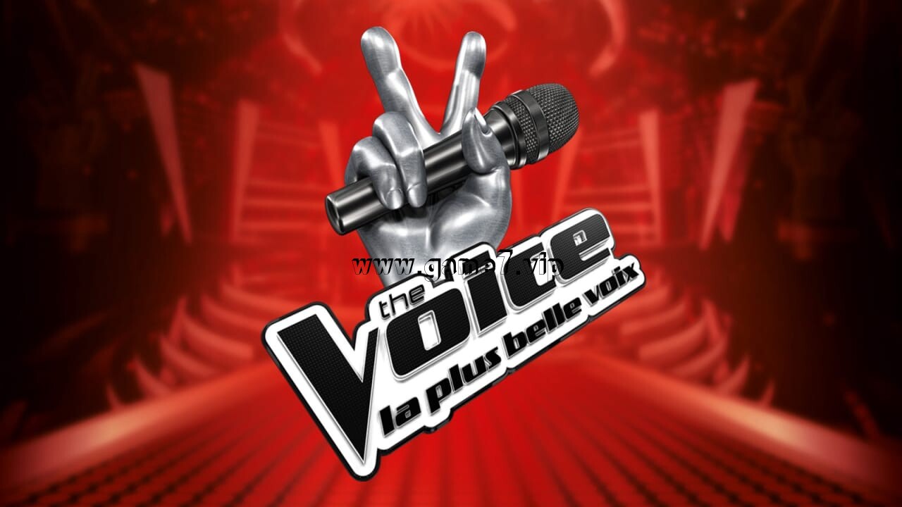 【Switch】法国好声音/The Voice法语丨The Voice – La plus belle voix